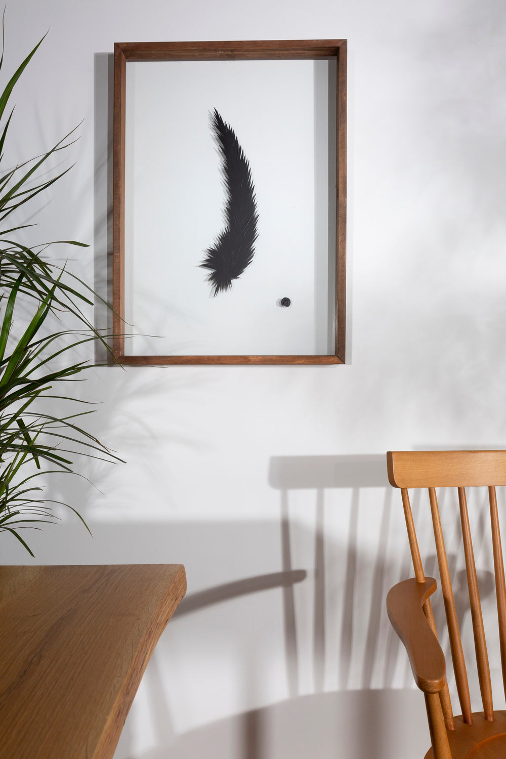 Feather Painting Black