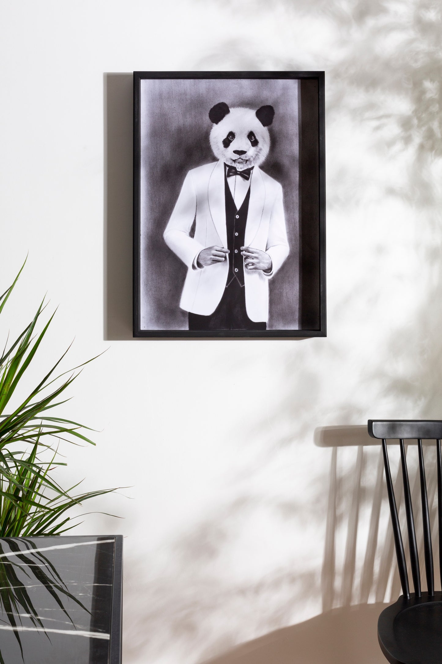 Black and White Male Panda